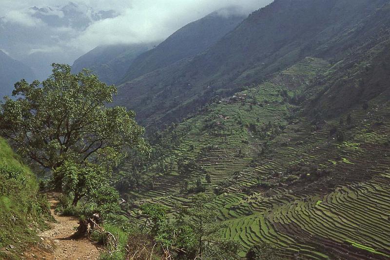 WT 1000 148-02 Nepal.jpg